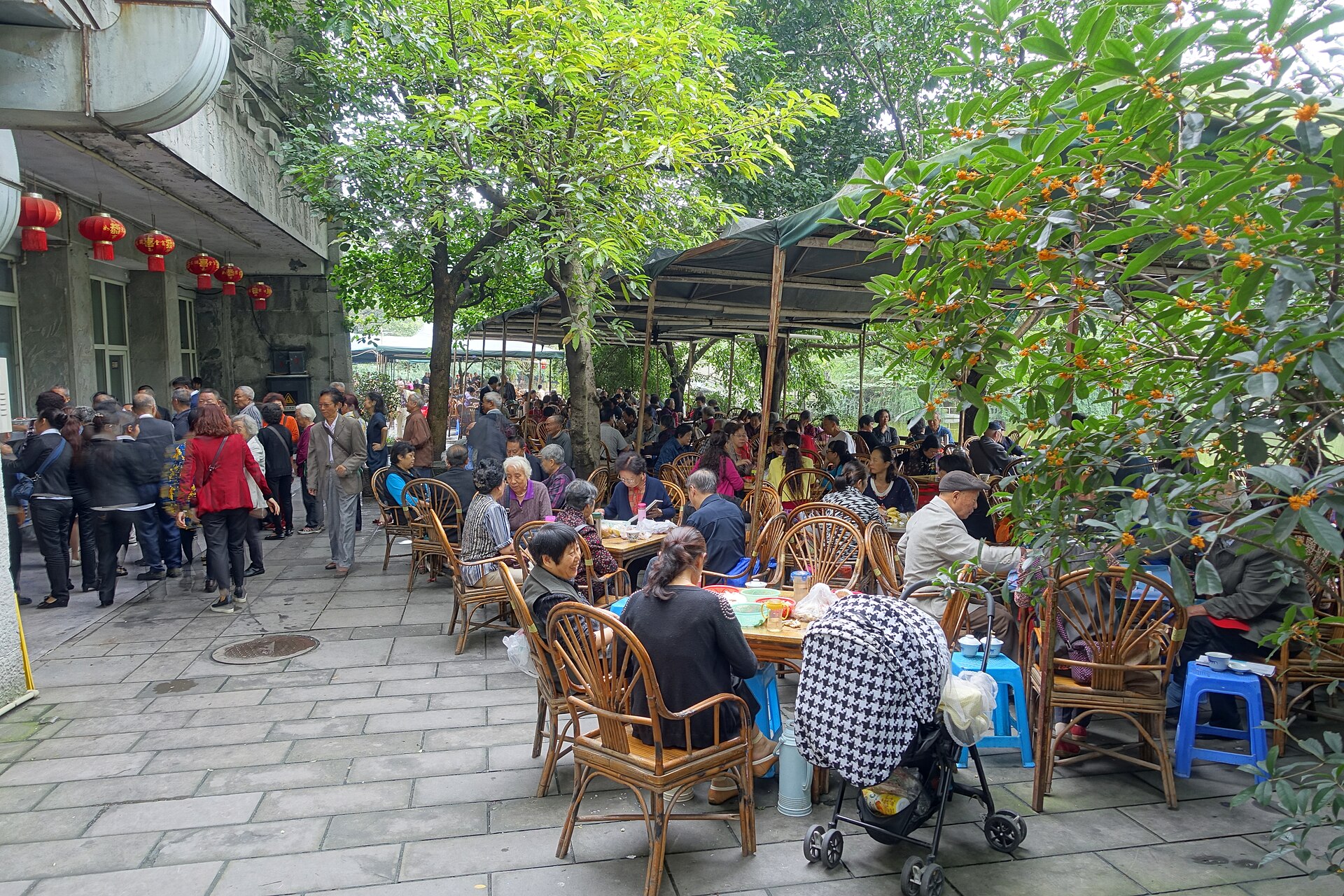 Teahouse in Chengdu Culture Park
